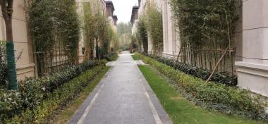 中海意園綠化項目